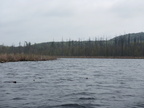 IMG 4583